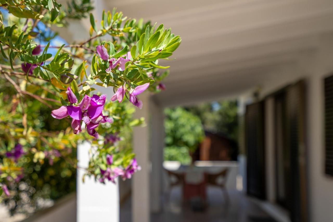 Villa Bettina & Birgitta - Formentera Break à Es Pujols Extérieur photo